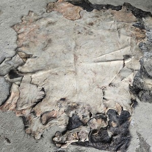 Chất lượng hàng đầu ướt và khô Muối bò ẩn ướt Muối trâu ẩn cho doanh số bán hàng - Product Image 6