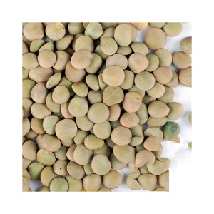 เมล็ดถั่วเลนทิลราคาขายส่งสำหรับการทำฟาร์มและการส่งออก - Product Image 6