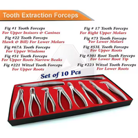 Forceps d'extraction dentaire manuel en acier inoxydable certifié CE VERITAS A-1, équipement orthodontique, thérapie orale, chirurgie de classe I 1