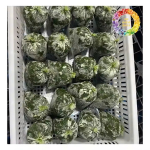 ใบมันสำปะหลังแช่แข็งพร้อมการตัดที่สะอาดและบรรจุภัณฑ์ใบมันสำปะหลังสดแช่แข็งจากโรงงานเวียดนาม - Product Image 5