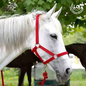 Durable Horse <b>Halters</b> for Equestrian Use Custom Horse Equine Safe Comfortable Adjustable Breakaway Horse <b>Halters</b> by Life Care - Product Image 6