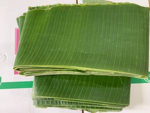 Hojas de plátano vietnamita, venta al por mayor, precio barato, buena calidad - Product Image 2