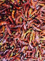 Piment séché de l'usine dirigée au Vietnam/Piment rouge séché aux épices simples de haute qualité