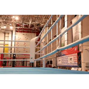 Ring de Boxeo Aprobado por la AIBA, Jaula Octogonal con Logotipo Personalizado para Competición - Product Image 2