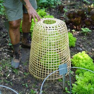 VIET FARGIMEX Couvercle de protection de dôme tissé à la main en bambou écologique Cloche pour le jardin pour les commandes en gros - Product Image 5