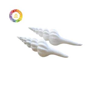 เปลือกหอยสังข์ขัดแบบแฮนด์เมดของเวียดนามรูปทรงสวยงามสำหรับเป็นของที่ระลึกและจัดแสดง - Product Image 2