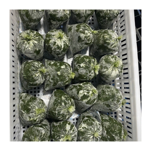 Fabricante de hojas de yuca congeladas de Vietnam de Confianza | Exportador de hojas de yuca picadas al por mayor para pedidos a granel en el mercado mundial - Product Image 4