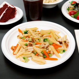 Assiette jetable pour fête d'anniversaire en pulpe de canne à sucre Pour buffets, restaurants et plats à emporter - Product Image 6