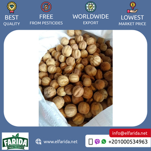 Agrumes frais de qualité supérieure de qualité supérieure nutritifs délicieux jaune noir citron séché biologique de l'Égypte fournisseur d'origine - Product Image 6