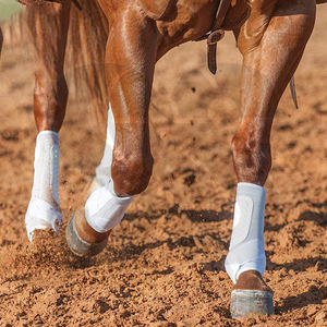 Bottes de protection pour les jambes de cheval en cuir véritable de qualité supérieure, ajustables, respirantes, durables, légères, en néoprène - Product Image 5
