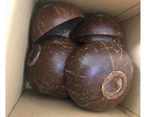 Bol en coquille de noix de coco fait main du Vietnam avec surface naturelle durable pour la vente au détail et la décoration Bol en coquille de noix de coco en stock - Product Image 2