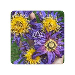 Fleurs de lotus bleu Offre Spéciale séchées 2025 thé de qualité supérieure arôme apaisant parfait pour le soulagement du stress et un bon sommeil - Product Image 1