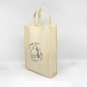 BUEN PRECIO Portátil reutilizable eco amigable logotipo personalizado PP-Bolsas de compras de tela no tejida bolsas de compras tejidas PP - Product Image 5