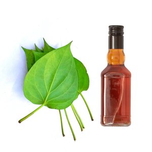 Huile pure et huile essentielle de feuille de betel, étiquette privée et approvisionnement en vrac, huile essentielle de parfum, qualité aromathérapie, en provenance d'Inde - Product Image 6