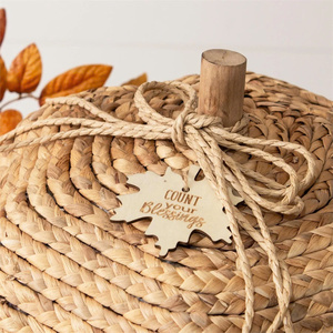 Une atmosphère d'automne confortable, parfaite pour la décoration d'automne ou les centres de table de Thanksgiving Chaleur et texture à n'importe quel décor de citrouille d'espace - Product Image 3