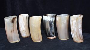 Tazas de Cuerno de Búfalo Estilo Americano de Excelente Calidad, Tazas de Cuerno Natural Hechas a Mano al por Mayor, Vasos de Cerveza Vikingos - Product Image 6