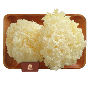 ขายส่งคุณภาพสูงราคาถูกเชื้อราหิมะอินทรีย์จากเวียดนาม - Product Image 5