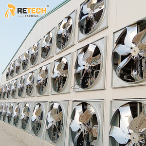 20000 Poulets Layer House H Type 4 Niveaux Collecteur d'oeufs Système de <span class=keywords><strong>cage</strong></span> à batterie pour ferme en Ouganda - Product Image 6