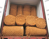 Vente chaude pas cher prix fibre de coco coco vierge grande taille