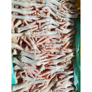 Pieds de poulet surgelés de haute qualité Partie du corps riche en vitamines en boîte individuelle - Product Image 6