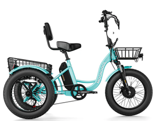Best Pedal <b>Electric</b> <b>Tricycle</b> Fat Tire Trike - Product Image 4