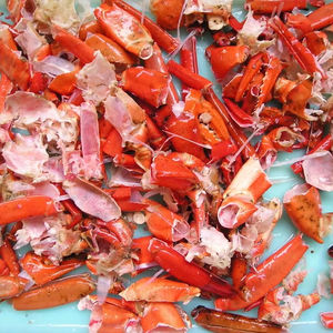 เปลือกปูแห้งสำหรับอาหารยัดไส้ราคาไม่แพงจากเวียดนาม - Product Image 1