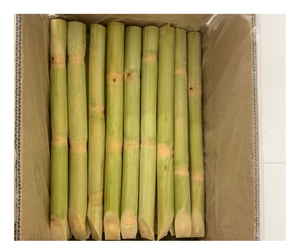 Canne à sucre congelée de qualité supérieure prête à l'exportation-Canne à sucre fraîche sucrée de fournisseurs du Vietnam prête à vendre avec la meilleure offre - Product Image 1