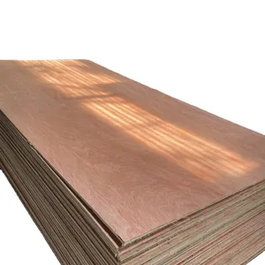 Foglio di legno compensato di superficie rossa BINTANGOR fornitore d'oro direttamente dalla fumigazione di fabbrica ISPM15