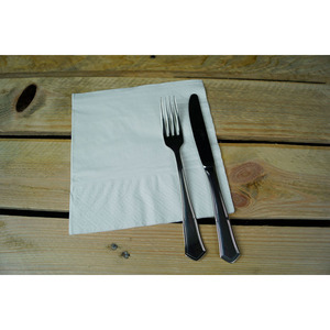 Tovaglioli Bianchi 40x40cm a 2 Veli 100 Pezzi 12 Confezioni B2B - Product Image 1