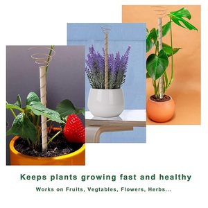 Bâtonnets de jardin en cuivre multi-usages pour la croissance des plantes, la décoration et l'art du jardin disponibles au prix de gros - Product Image 3