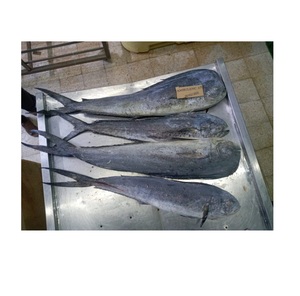 Filetes de pescado de alta calidad Mahi/pescado entero a precio barato Fabricante de Alemania exportaciones a todo el mundo - Product Image 4