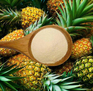 PRIX D'USINE EN POUDRE D'ANANAS À ÉCOULEMENT LIBRE TROPICAL PRIX PRIVÉ PRÊT - Product Image 3