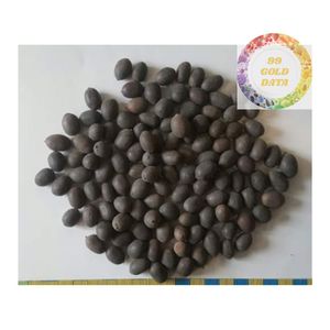 เมล็ดบัวดำธรรมชาติบริสุทธิ์ที่คัดสรรมาจากเวียดนามผลิตภัณฑ์คุณภาพสูงสำหรับตลาดชาและขนมขบเคี้ยวระดับโลก - Product Image 6