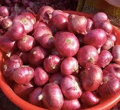 Hojuelas de Cebolla Morada Deshidratada de Alta Calidad para Procesamiento de Alimentos - Product Image 1