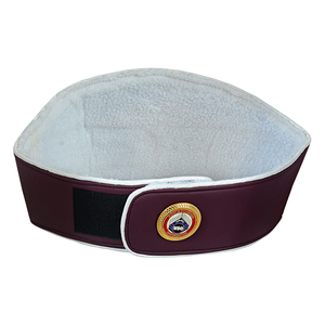 Alta calidad para WWE Attitude Era World Tag Team Championship Title Belt Nueva llegada World Heavyweight Title Belt Ronpex - Product Image 3