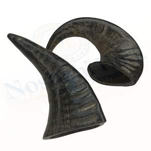 NHE Overseas Natural Water Buffalo Horn Dog Chew Jouet à mâcher animal aromatisé au boeuf de haute qualité | Friandise artisanale et durable - Product Image 5