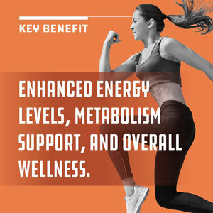 Capsules d'huile de coco à prix réduit pour adultes, soutien à la gestion du poids, santé intestinale, capsules d'huile de coco - Product Image 5