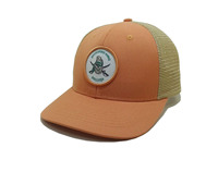 Sombreros de camionero con logotipo de parche tejido de nuevo diseño, gorra promocional Snapback personalizada, gorra deportiva para papá, gorra de muestra gratis para negocios