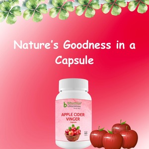 Suplemento de vinagre de sidra de manzana natural, cápsulas de vinagre, extracto de hierbas, desintoxicación, control de peso, digestión, soporte energético, botella salvaje - Product Image 2