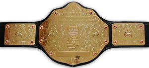 Champ King Wrestling Championship Cinturones Trofeos Medallas y premios-Símbolo definitivo de Victoria y excelencia Cobre/Aleación de cobre - Product Image 4