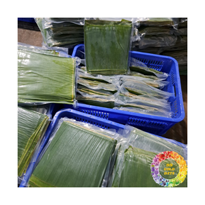Feuilles de bananier vertes tropicales fraîches congelées en vrac, feuilles de bananier en gros, matériau parfait pour l'emballage alimentaire - Product Image 2