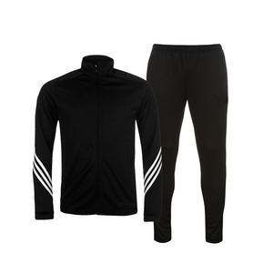 Chándales ligeros con logotipo personalizado y éxito de ventas al por mayor, conjunto deportivo de otoño para hombre, conjunto para correr y correr, incluye chándal - Product Image 5