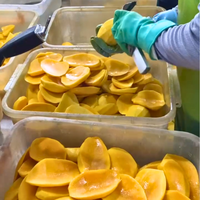 Vietnam Zacht Gedroogde Mango Premium Kwaliteit Natuurlijke Tropische Fruitsnack Met Zoete Smaak Voor Export Import En Groothandel Kopers