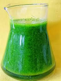 GMP alta calidad 100% puro aceite esencial de albahaca natural fabricación al por mayor de fábrica de aceite de albahaca sagrada exportador a granel de la India - Product Image 4