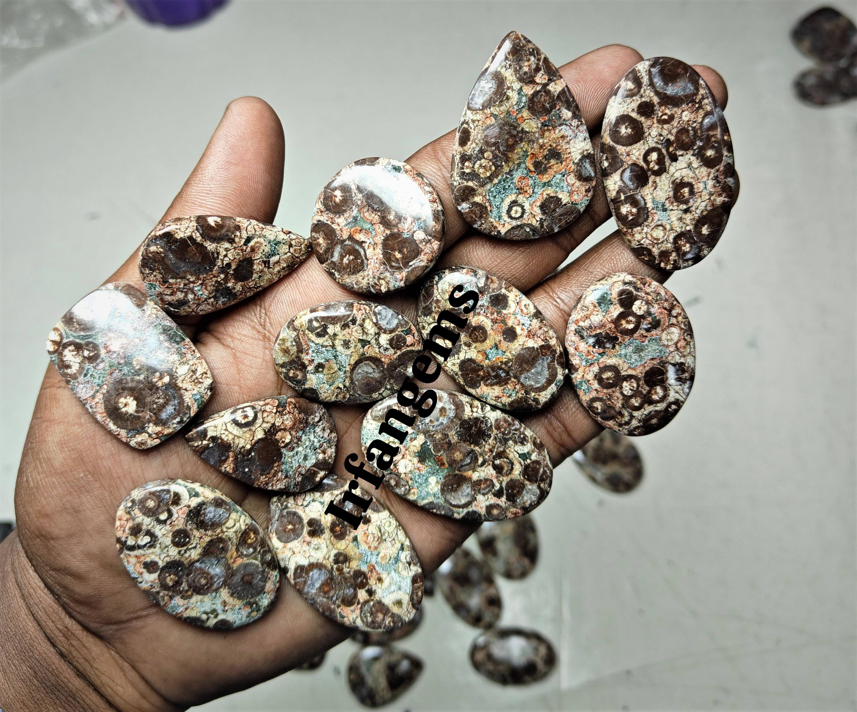 เห็นเป็นภาพ