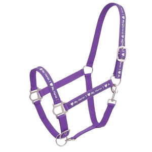 Boucles de quincaillerie en nylon durable pour licou de cheval Colliers de tête de cheval en cuir personnalisés avec laiton et acier - Product Image 6