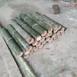 Bâtons de bambou naturel du Vietnam pour la production de brochettes culinaires et l'artisanat d'emballage créatif utilisant des matériaux fiables - Product Image 2