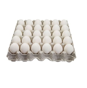 Obtenez des œufs frais à vendre en gros à des tarifs réduits Idéal pour l'utilisation commerciale et la distribution au détail - Product Image 6