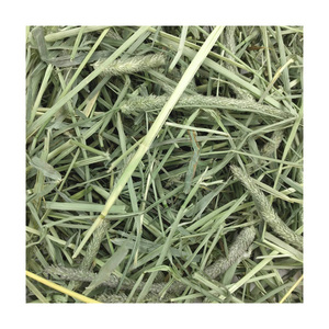 Foin de Timothy de haute qualité pour l'alimentation des chevaux, des bovins et des porcs - Origine Canada Disponible en balles ou en granulés - Product Image 1