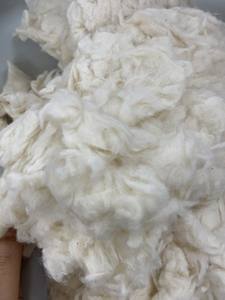 Thanhvin Modèle 2025 Coton Comber Noil ; Card Fly ; Lickerin A/B pour filature de coton (Mme Xavia +84 333371330) - Product Image 4